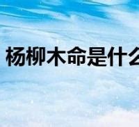 井泉水 納音|八字纳音五行解析——井泉水 八字纳音五行解析